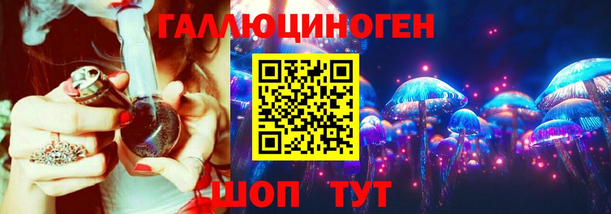 Галлюциногенные грибы Psilocybe  Вход с VPN  Выборг 